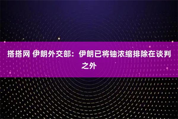 搭搭网 伊朗外交部：伊朗已将铀浓缩排除在谈判之外
