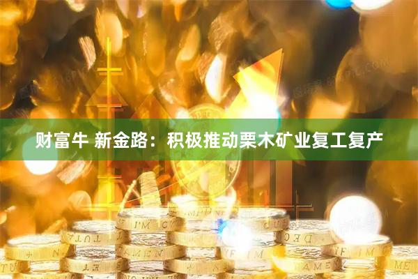 财富牛 新金路：积极推动栗木矿业复工复产