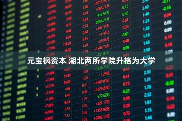 元宝枫资本 湖北两所学院升格为大学