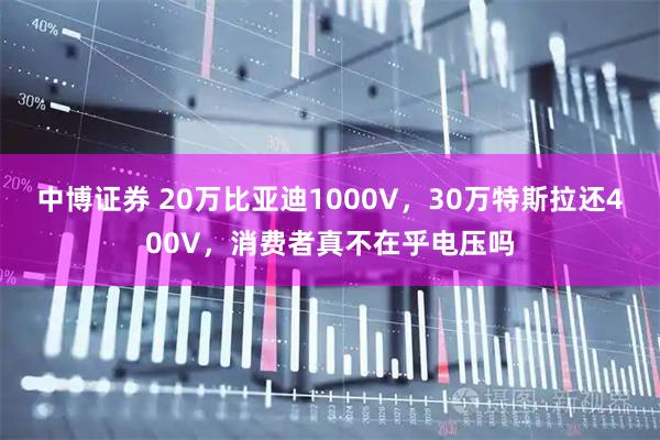 中博证券 20万比亚迪1000V，30万特斯拉还400V，消费者真不在乎电压吗